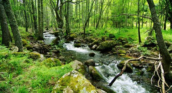 Ruralrut-el Tiemblo Wifi, De Hidromasaje, Aire Acondicionado Y A Pocos Metros De Zonas De Bano Naturales El Tiemblo
