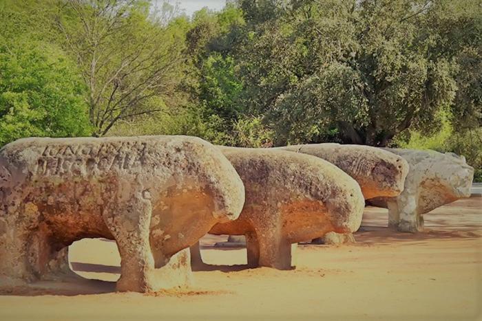 Ruralrut-el Tiemblo Wifi, De Hidromasaje, Aire Acondicionado Y A Pocos Metros De Zonas De Bano Naturales Villa *