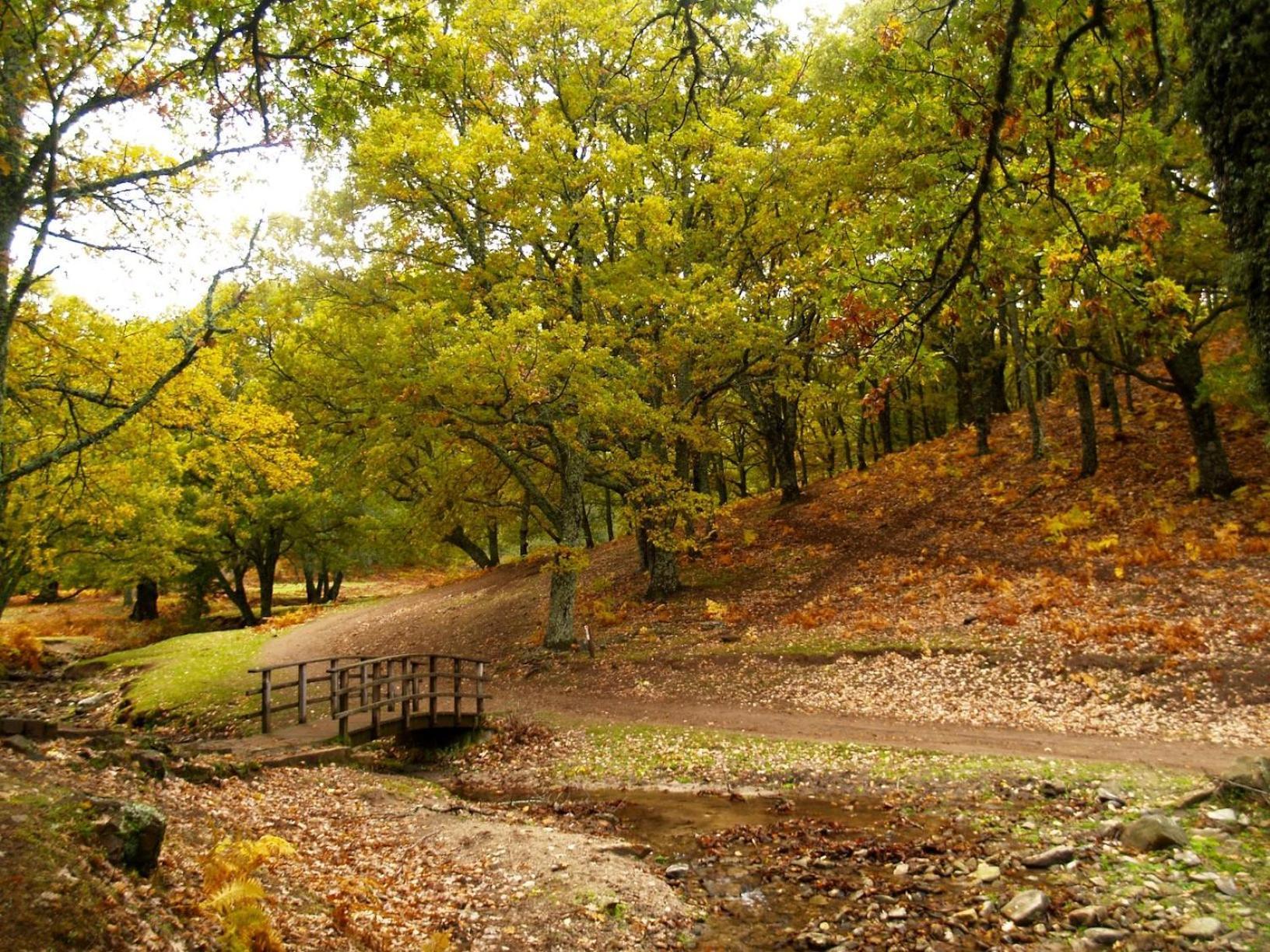 Ruralrut En El Tiemblo Precios Especiales A Partir De 7 Noches, Wifi, Cabina De Hidromasaje, Aire Acondicionado, Zonas De Bano Naturales Cercanas